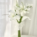 Hand Bouquet White Tulip