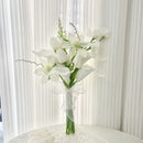 Hand Bouquet White Tulip