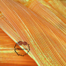 Tissu Organza plissé à Texture sirène Orange, décoration de mariage, conception de robe de mariée