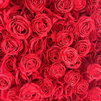 Flowerva Décoration murale florale rouge exquise et élégante pour scène de mariage