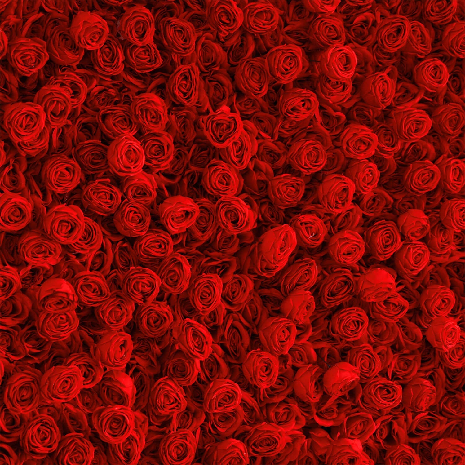 Flowerva Luxurious Flower Ball Rose Hydrangea Wedding Wall Decor