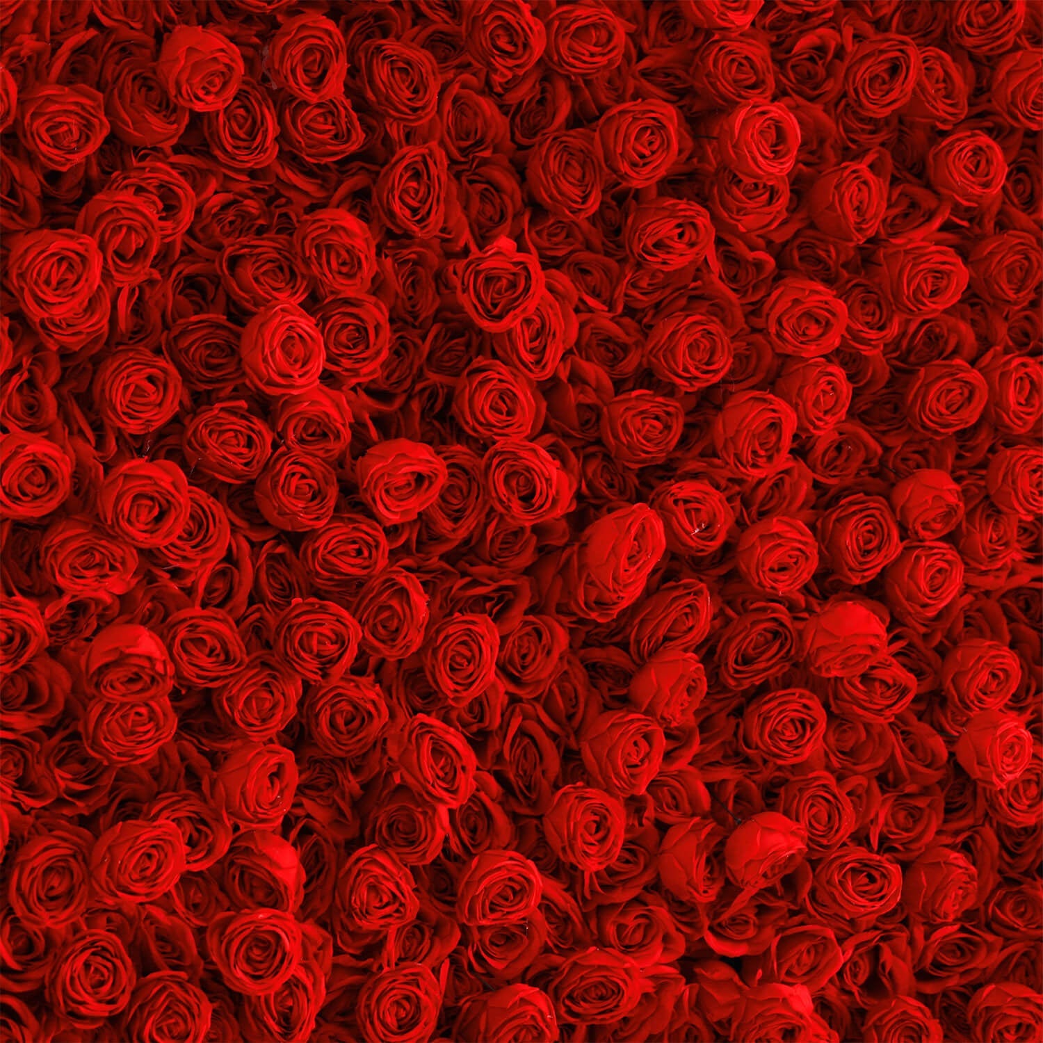 Flowerva Décoration murale florale rouge exquise et élégante pour scène de mariage